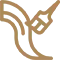 满冠体育